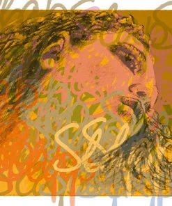 Pirastro Evah Pirazzi Slap Bass Strings