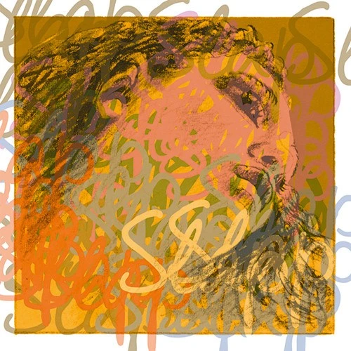 Pirastro Evah Pirazzi Slap Bass Strings - Premium Bass Strings for Enhanced Performance 3 Pirastro Evah Pirazzi Slap Bass Strings