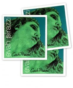 Multi-brand Violin Strings Violin Set: Evah Pirazzi With Choice Of E String