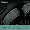 D'Addario Kaplan Forza Viola G String - Premium Viola Strings for Rich Tone & Durability 1 D'Addario Kaplan Forza Viola G String Viola Strings