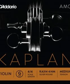 D'Addario Kaplan Amo Violin G