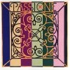 Pirastro Passione D Gut Violin String Violin Strings