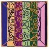 Pirastro Passione Viola C String, Gut