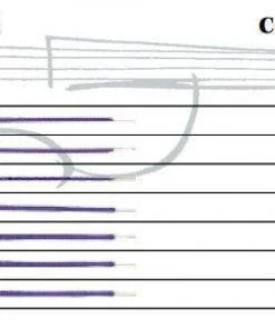 Thomastik Peter Infeld Violin Set PI100 Violin Strings