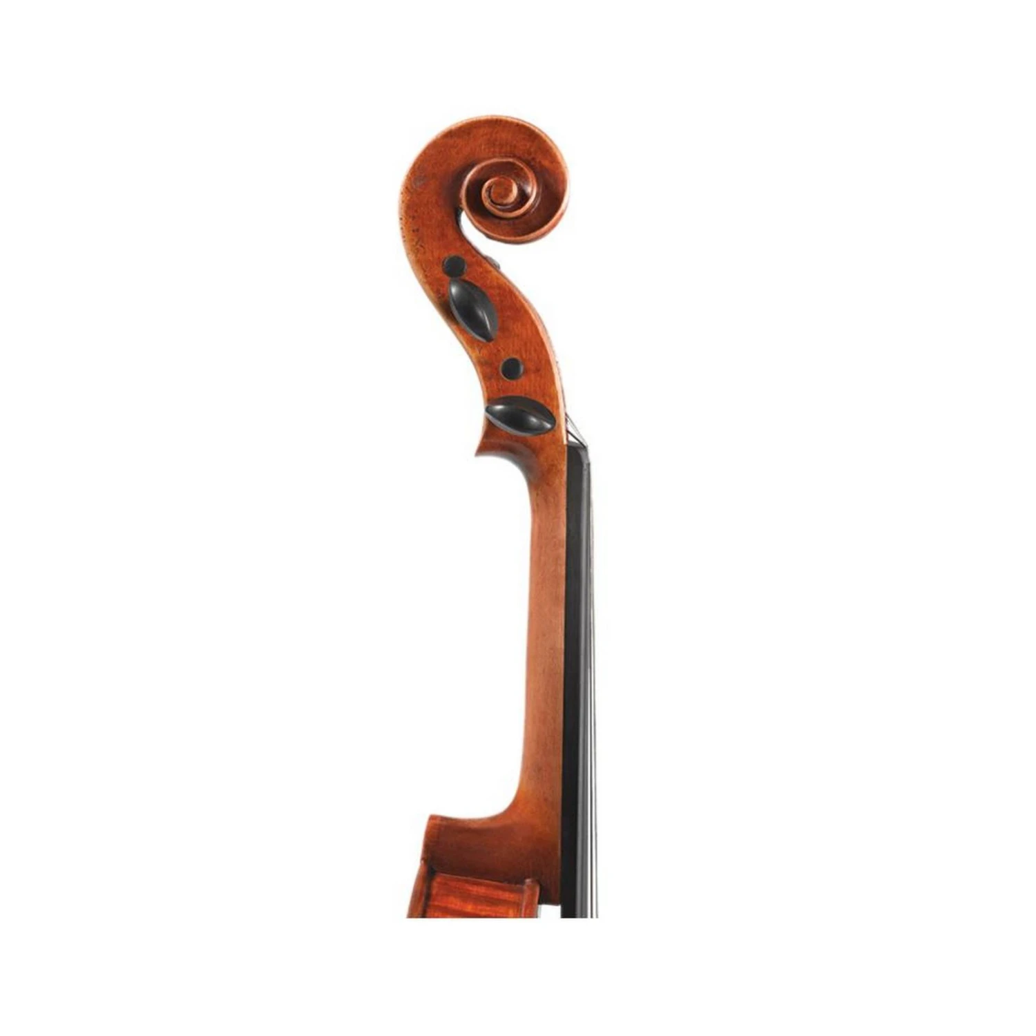 Revelle Violin Model 500QX - Premium Quality Handcrafted Violin for Musicians 5 Violins Revelle Violin Model 500QX