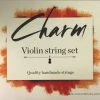 For-Tune Charm Violin String Set Violin Strings
