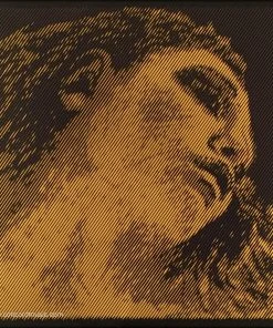 Pirastro Evah Pirazzi Gold Violin D String