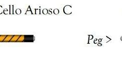 Larsen Magnacore Cello C String