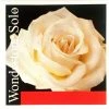 Pirastro Wondertone Solo D Violin